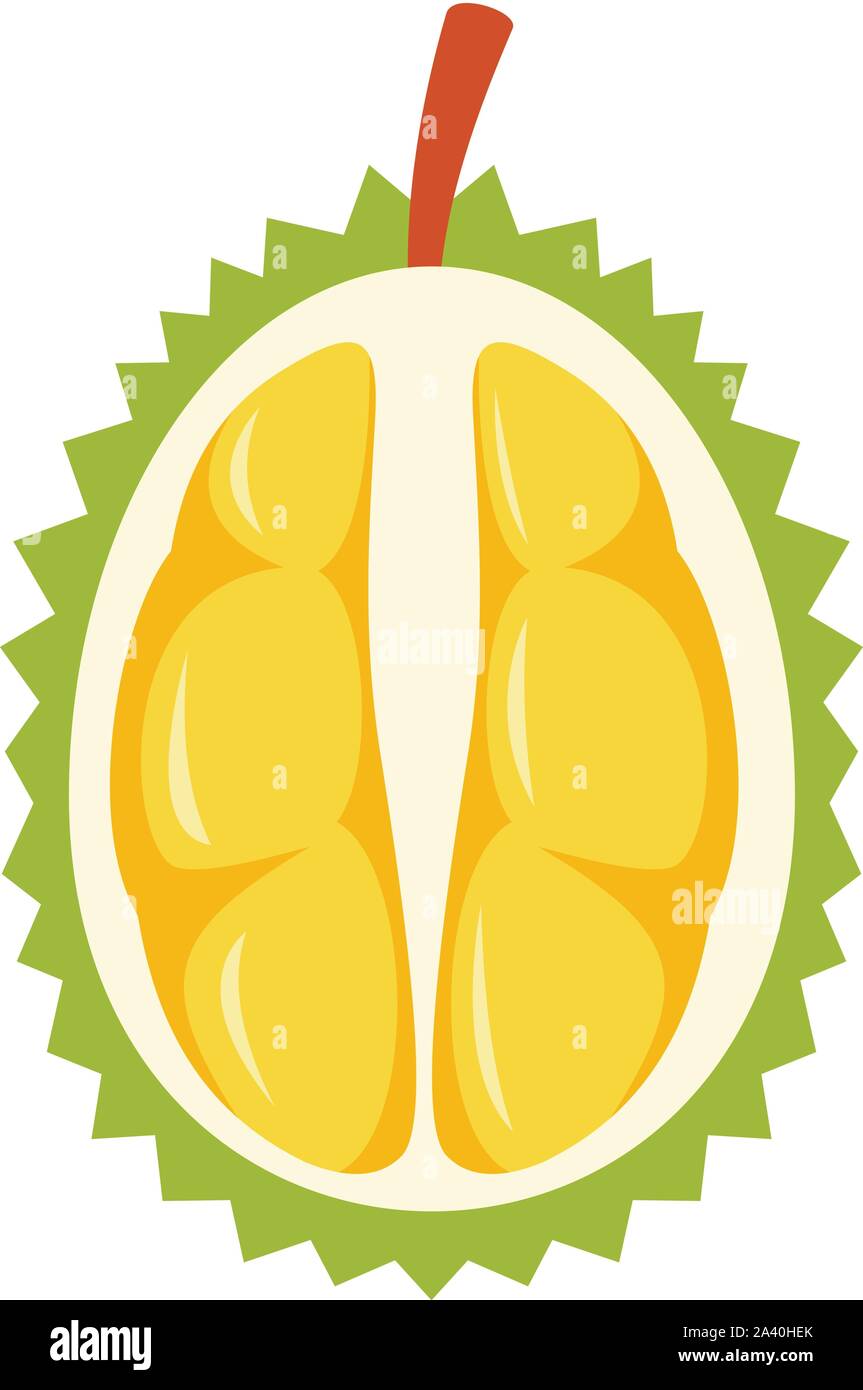 Half Fresh Durian Icon Flat Illustration Of Half Fresh Durian Vector Icon For Web Design Stock