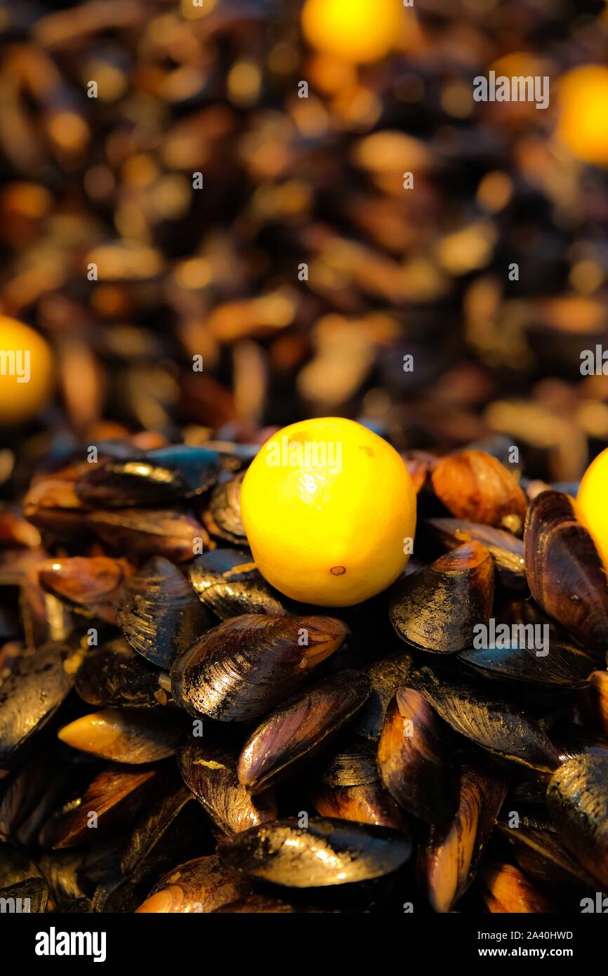 Ready to eat mussels stuffed with spicy cooked rice and lemon. Street food concept. Mediterranean region. Traditional in Turkey. Selective focuse. Stock Photo