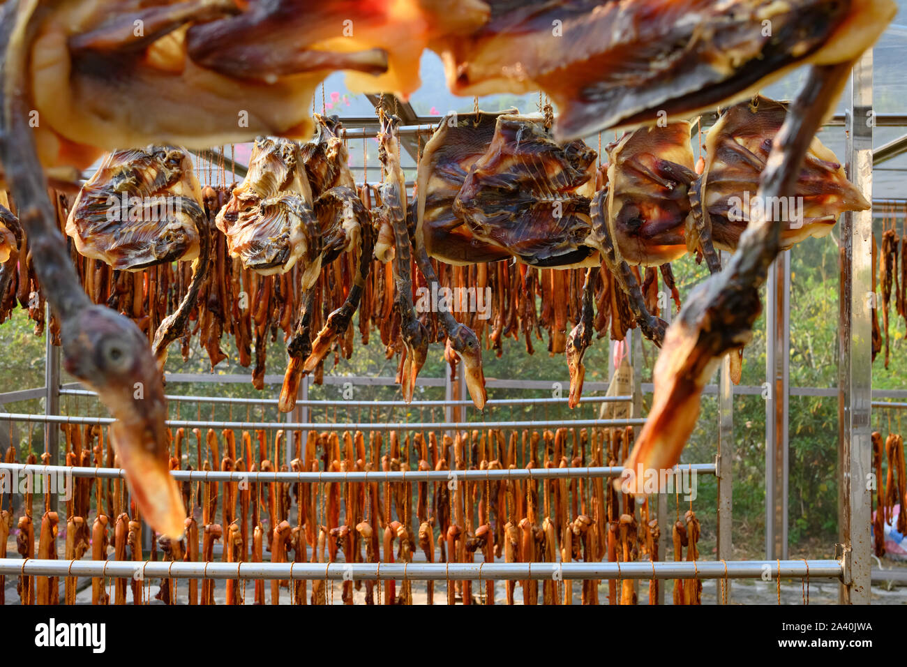 airdried bacon and duck hanging on shelf and being dried Stock Photo