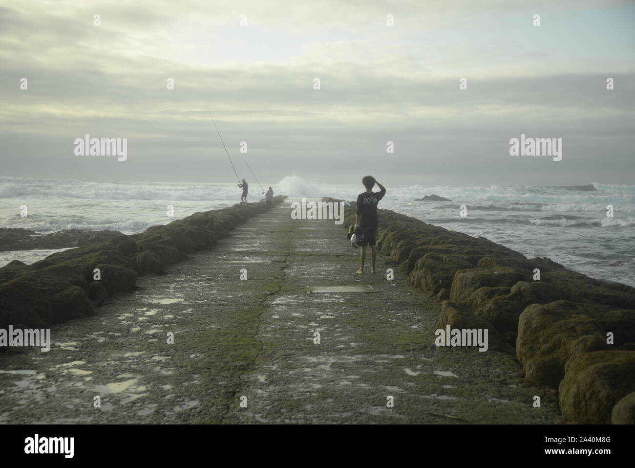 A young man looking out to sea in south-west France, pasakdek Stock ...