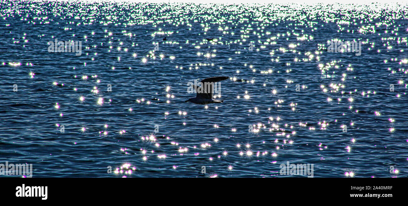 Flying Over A Sparkling Sea Stock Photo Alamy