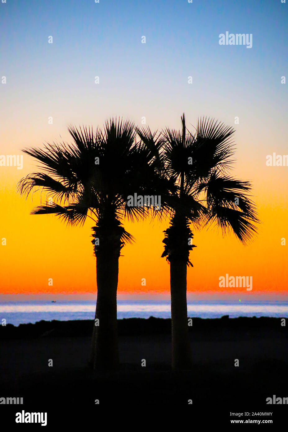 Palm Trees at Sunrise at the beach Stock Photo - Alamy