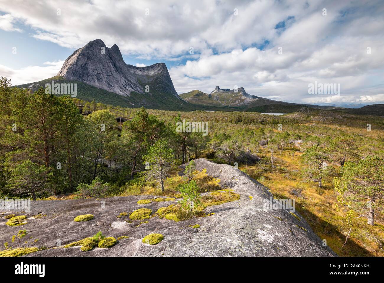 Distinctive mountain peak Stortinden in autumn landscape, Efjord, Tysfjord, Ofoten, Nordland, Norway Stock Photo