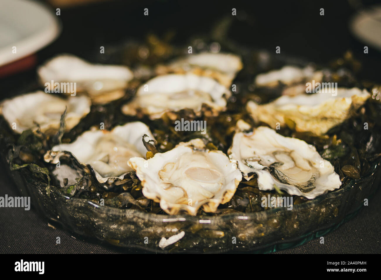 bowl of oysters ready to taste with natural lemon Stock Photo