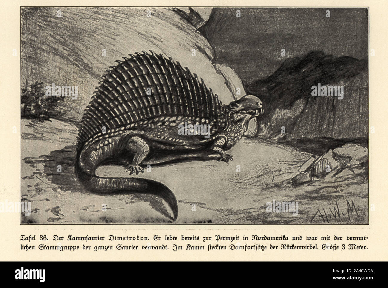 Cisuralian hires stock photography and images Alamy