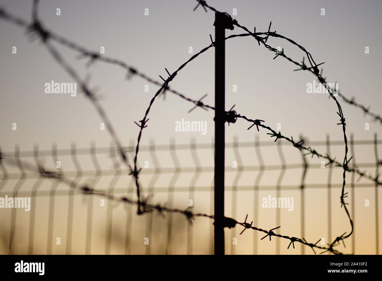 black silhouette of a barbed wire fence in summer evening, pale blue ...
