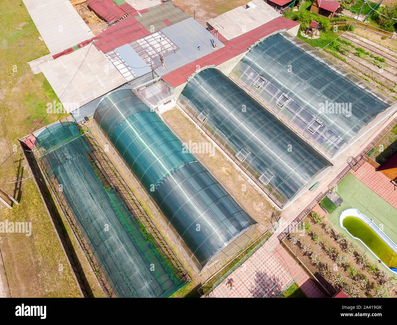 Aerial top view of green small modern poycarbonate greenhouse farm for  growing organic natural vegetables and plants. Private farmland near forest  Stock Photo - Alamy