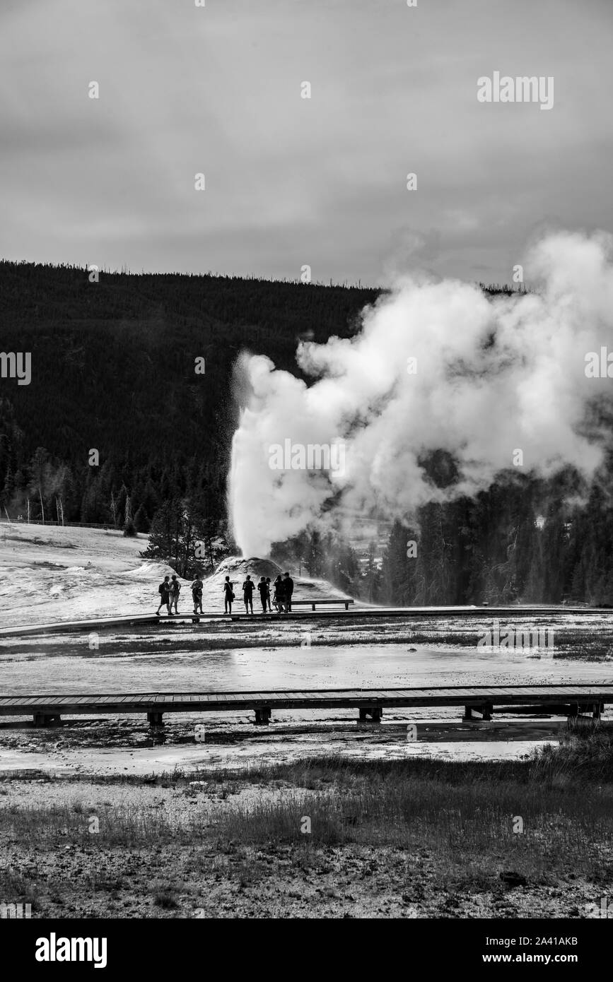 Lion geyser during an eruption in the upper geyser basin in Yellowstone Stock Photo