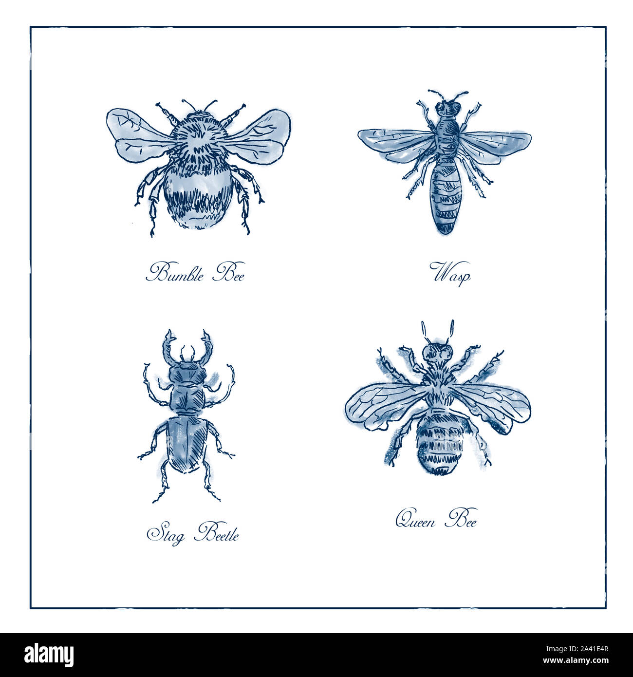 Queen Bee Cut Out Stock Images Pictures Alamy