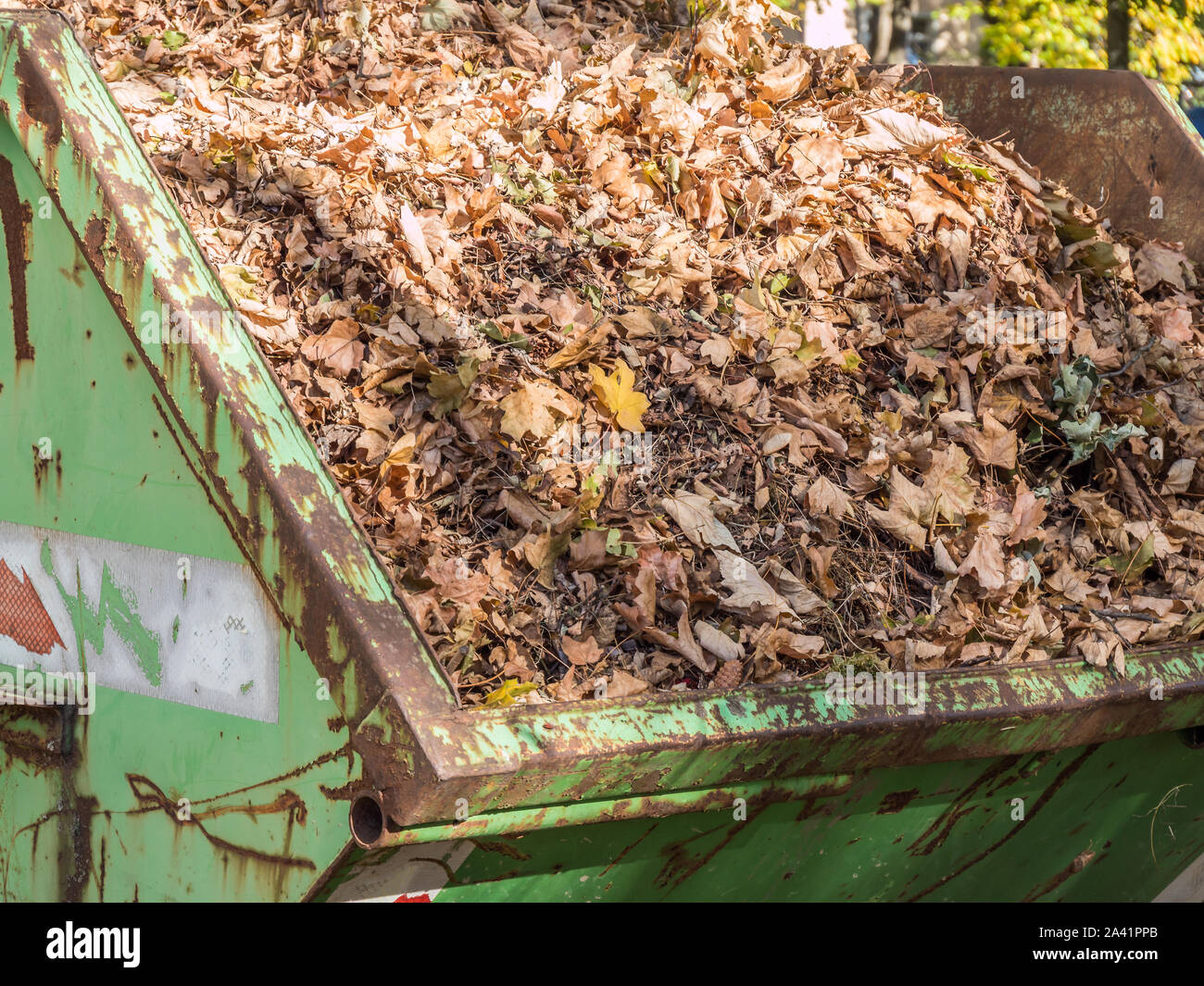 Container with garden waste in the autumn Stock Photo