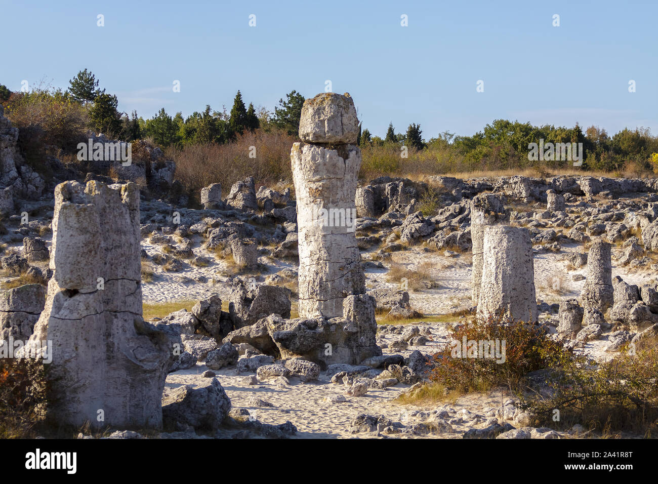 Natural rock phenomenon, Pobiti Kamani, Aksakovo Municipality, Varna District, Bulgaria. In the late afternoon.Selective focus with shallow depth of f Stock Photo