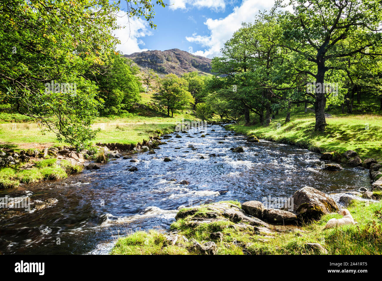 Watendlath Beck in the Lake District National Park, Cumbria. Stock Photo