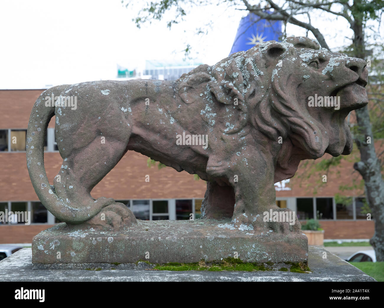 Lion statue in Sydney, Nova Scotia Stock Photo