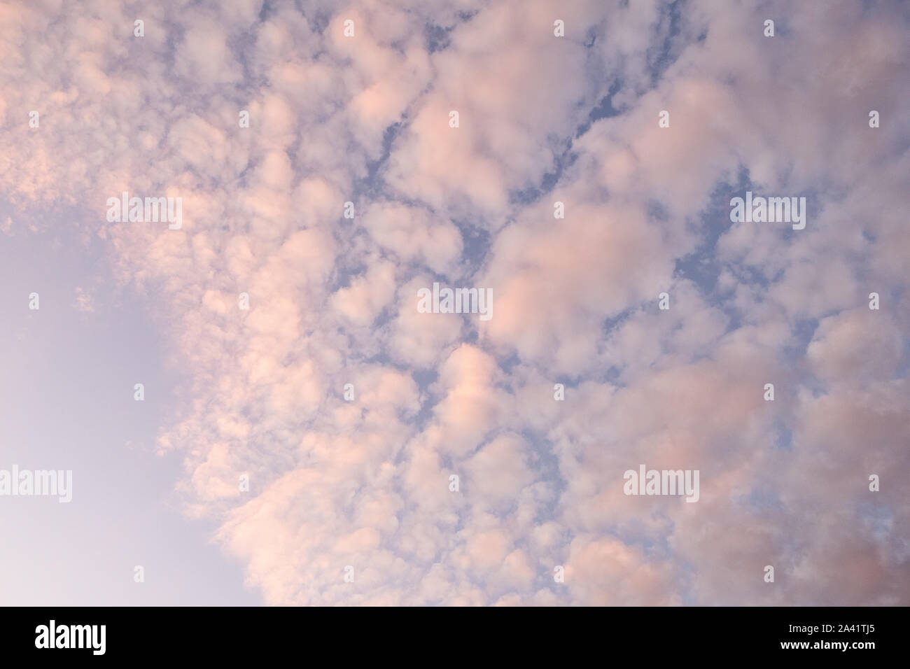 A think layer of clouds underneath a blue sky. Stock Photo