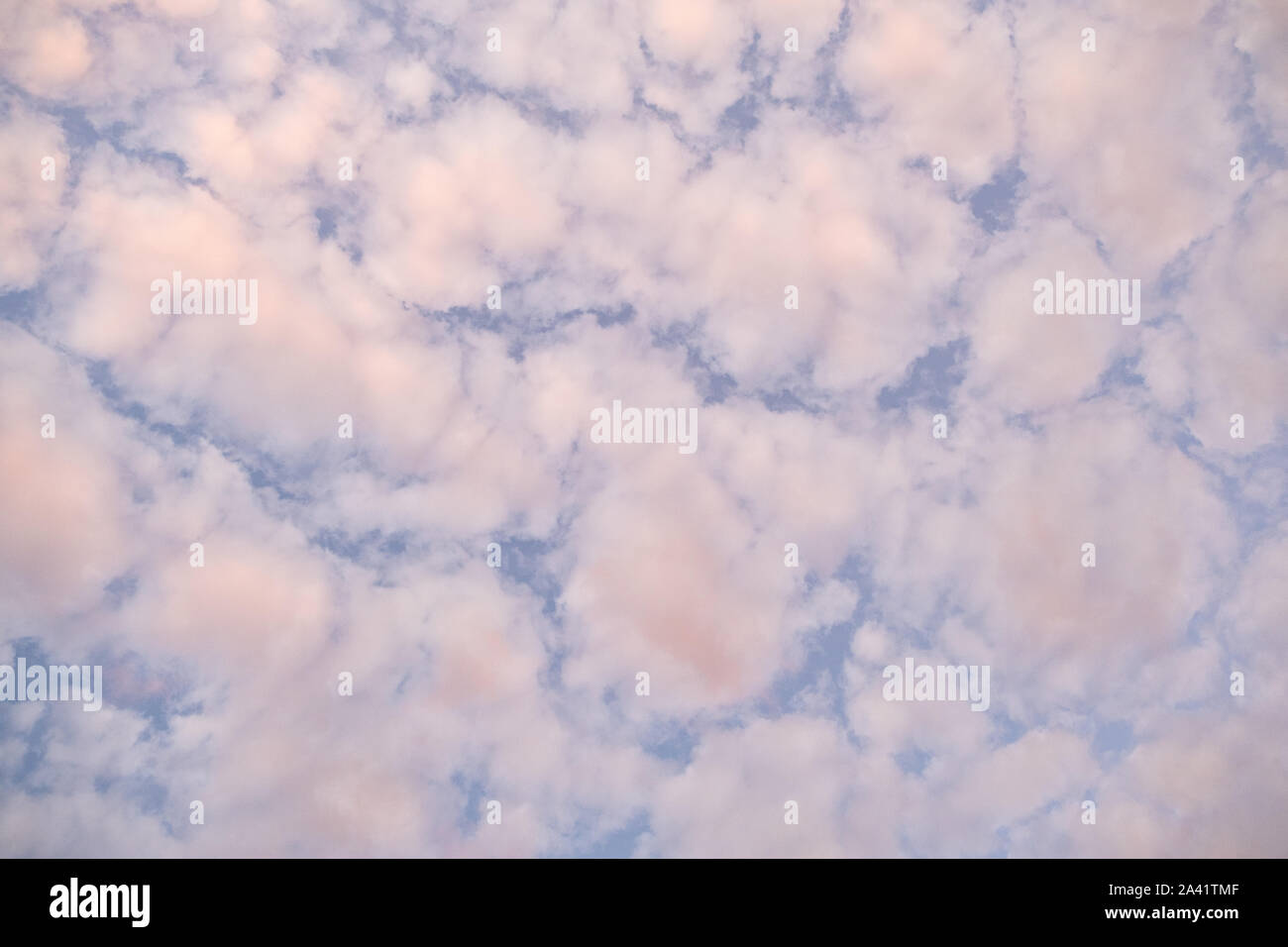 A think layer of clouds underneath a blue sky. Stock Photo