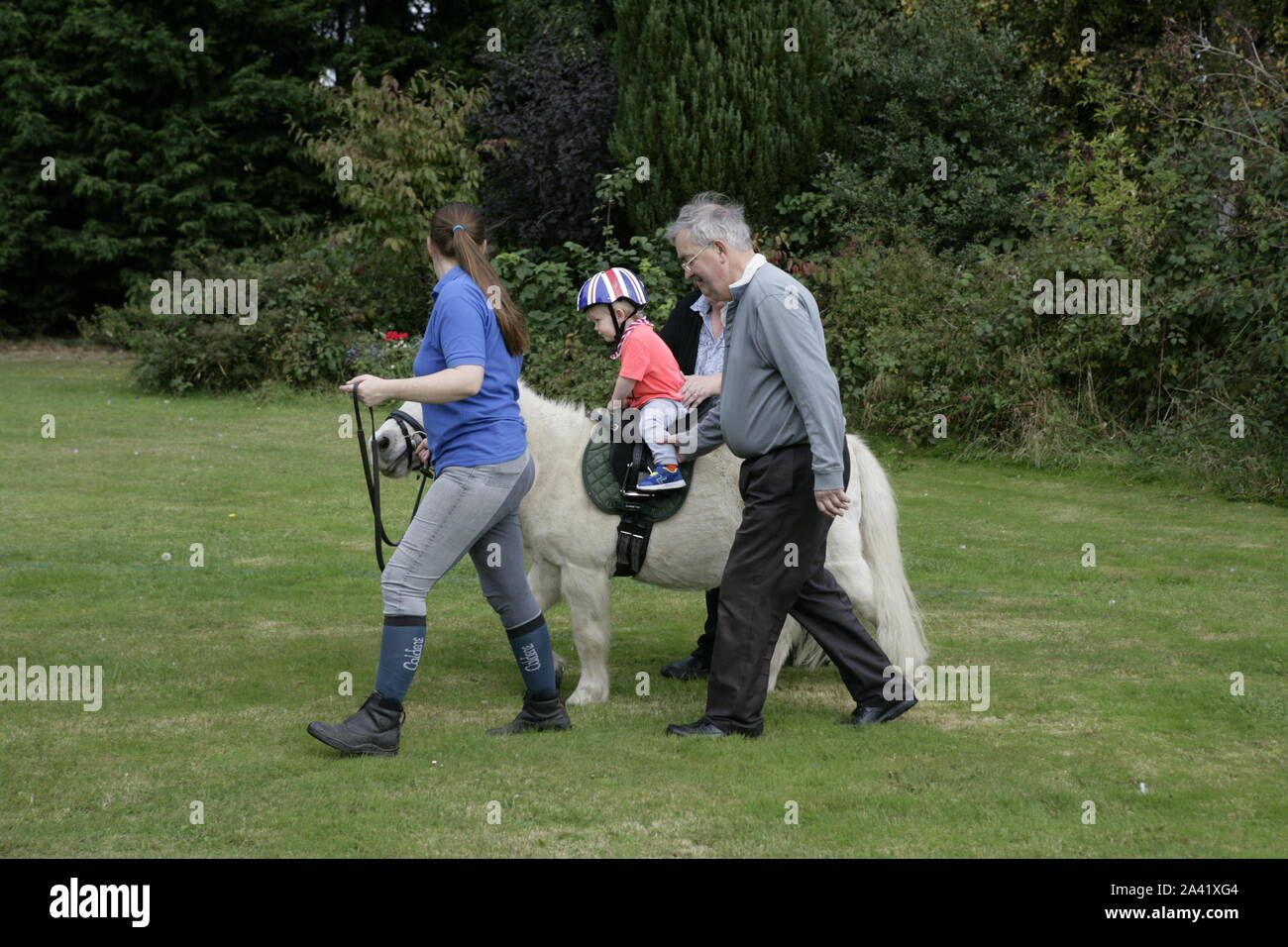 Young Male Toddler Child Having Horse Riding Lesson, Assisted by Grandparents Stock Photo