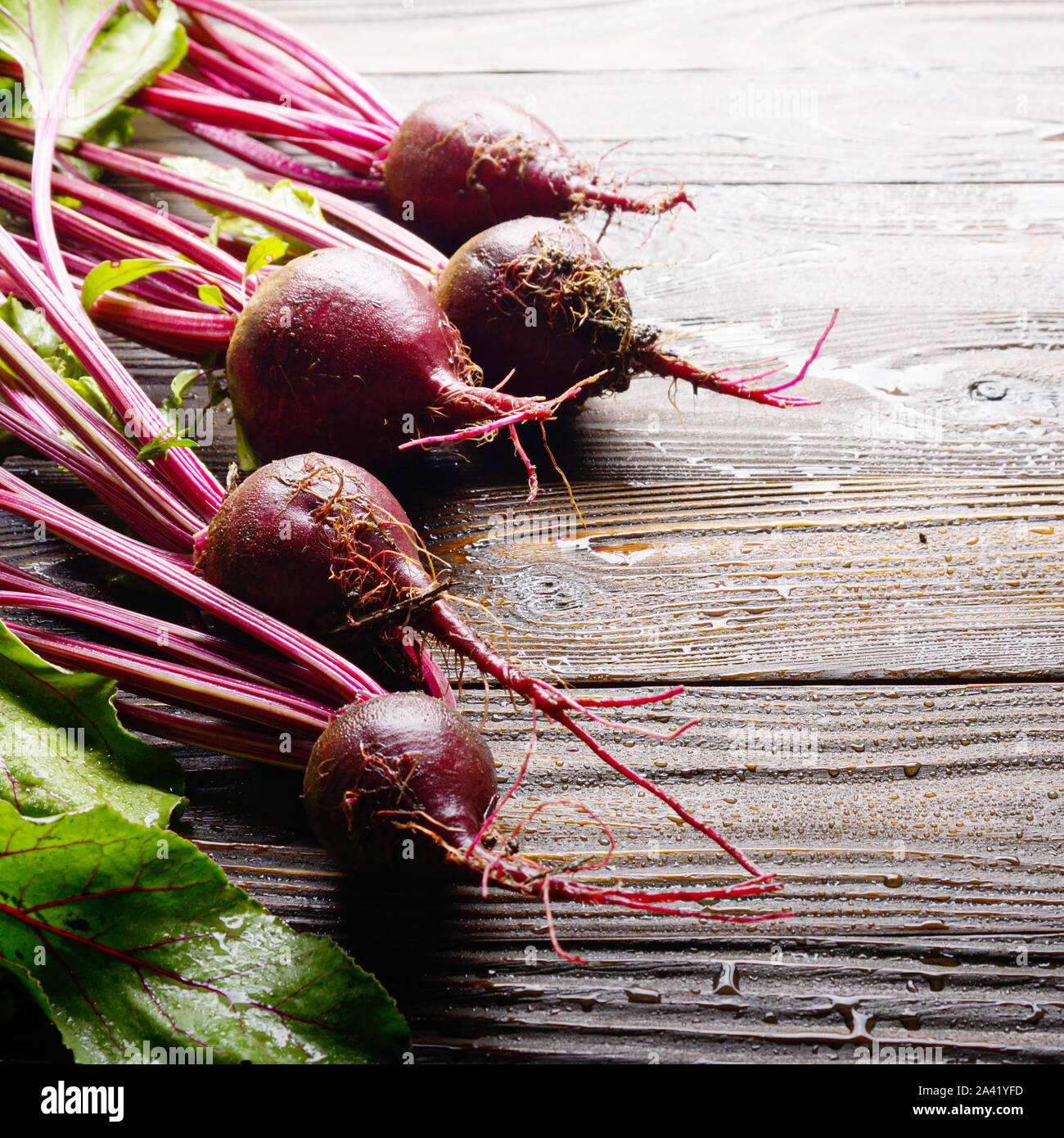 Fresh organic beetroots on kitchen wooden rustic table close up view Stock Photo