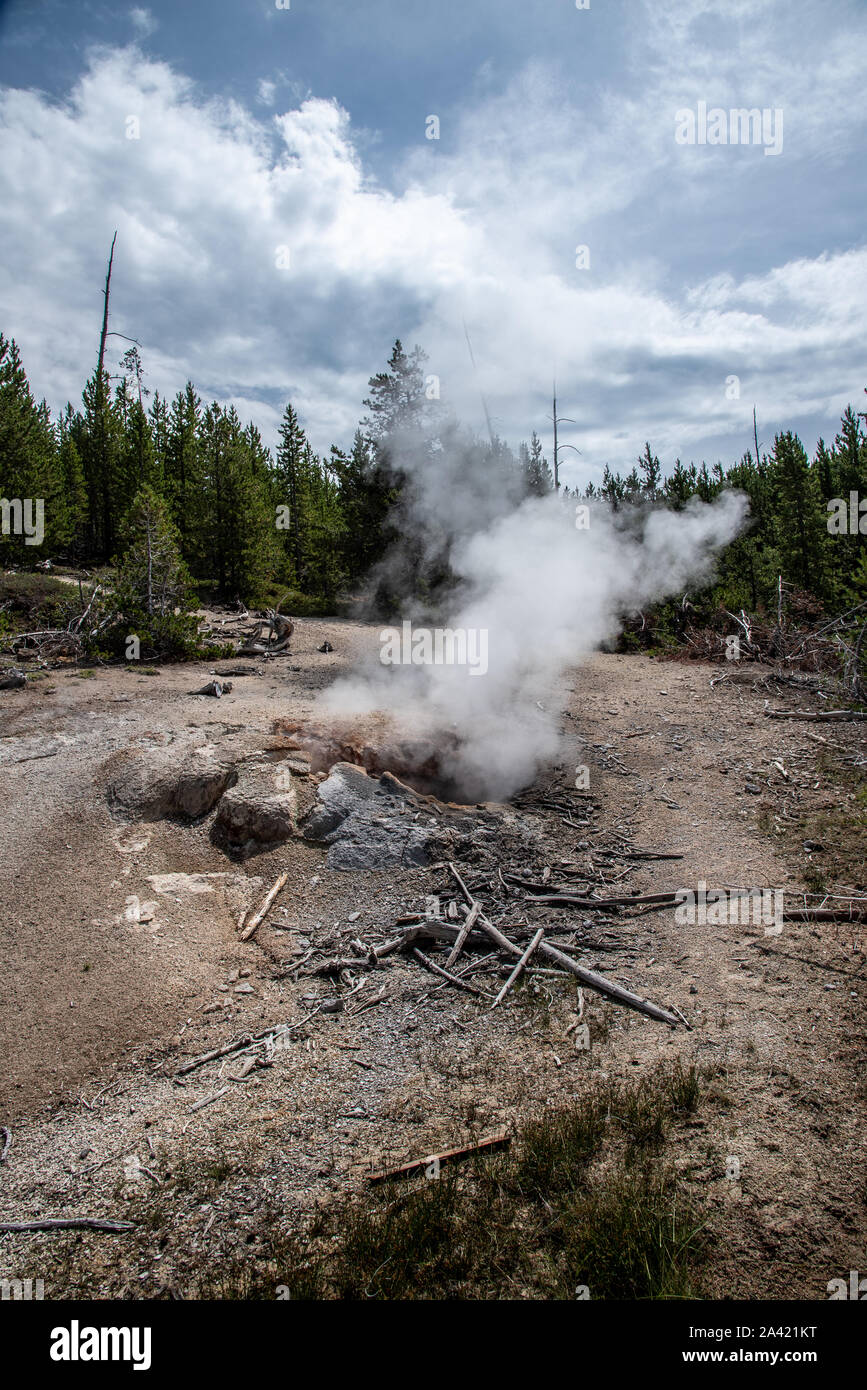 Puff n stuff geyser before an eruption in the Norris geyser basin in Yellowstone Stock Photo