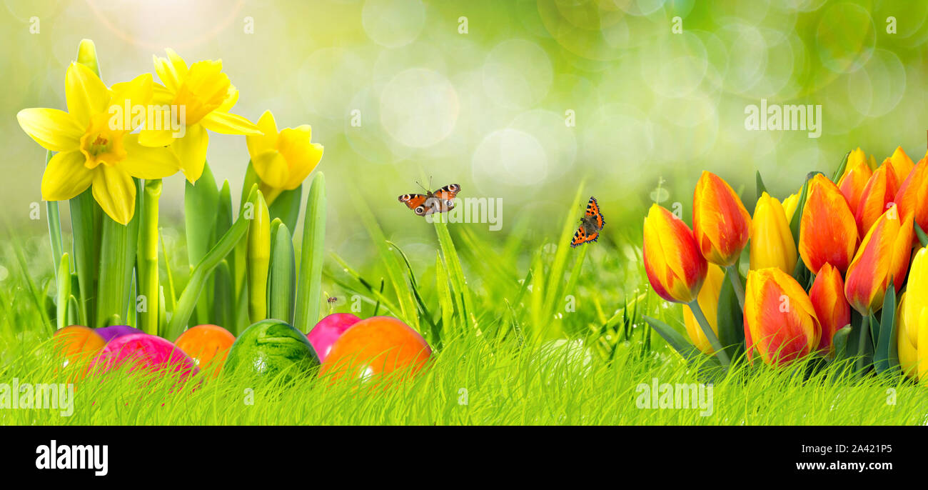Flower Easter Banner Stock Photo