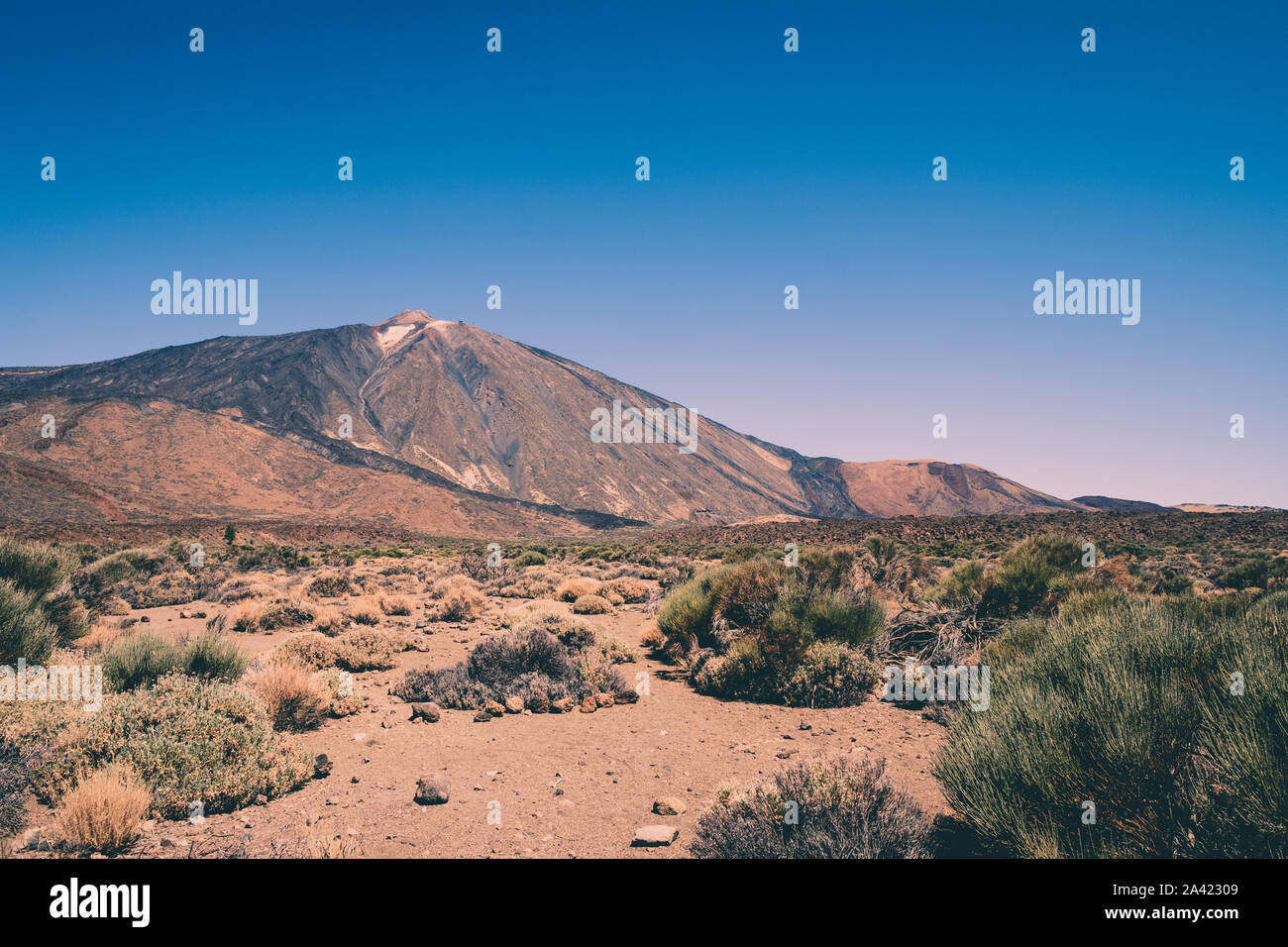 Mountain landscape and volcano Pico del Teide, National Park of Tenerife, Spain Stock Photo