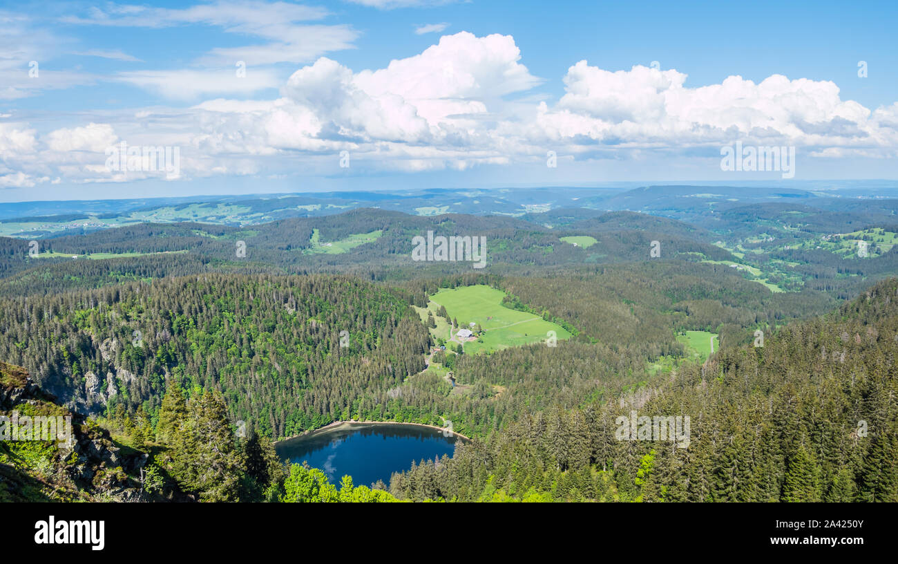 View over the Black Forest Stock Photo - Alamy