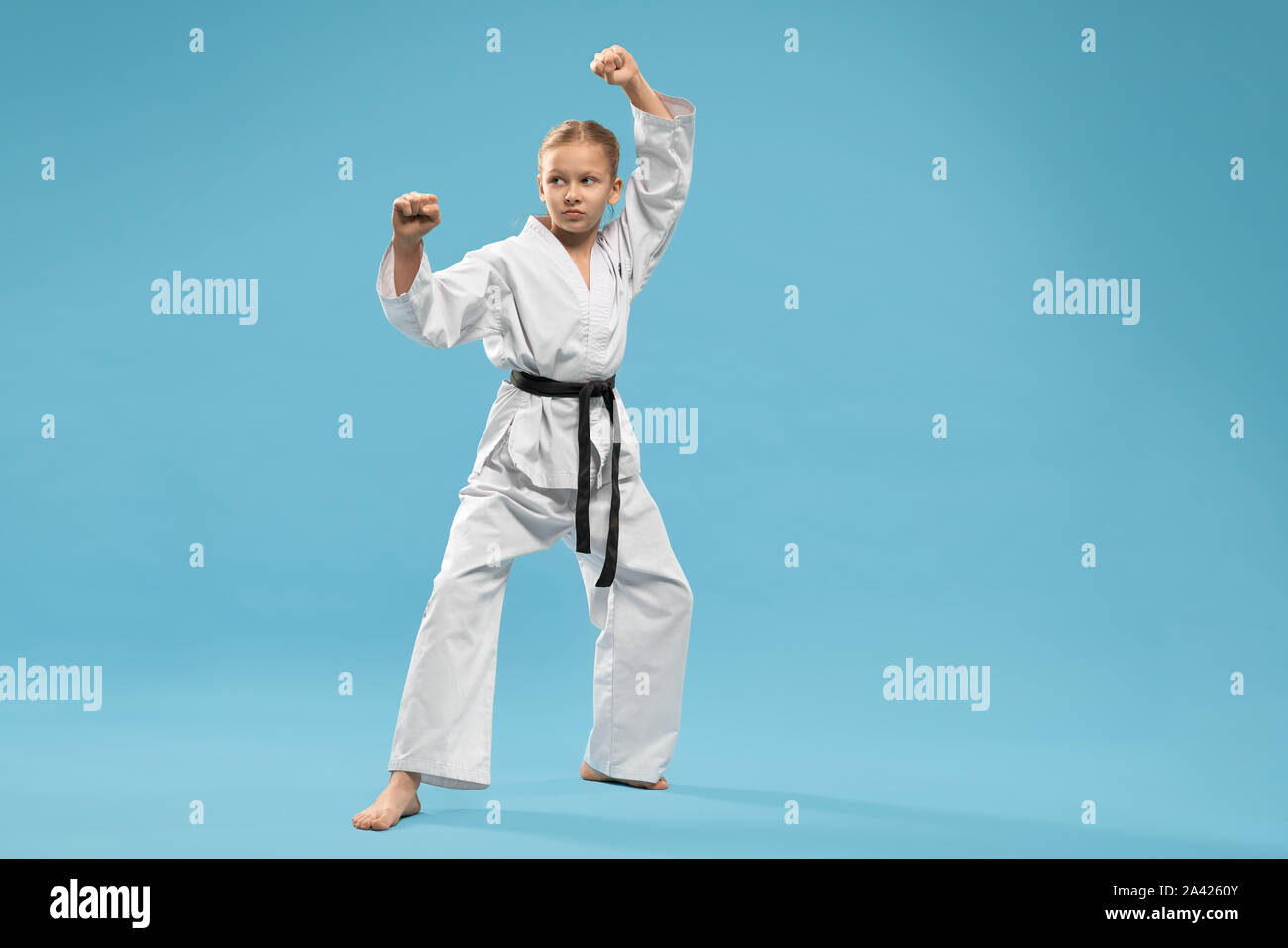 Confident junior in kimono with black belt practising karate and jujitsu. Serious karate girl standing in stance and punching with hand on blue background. Stock Photo