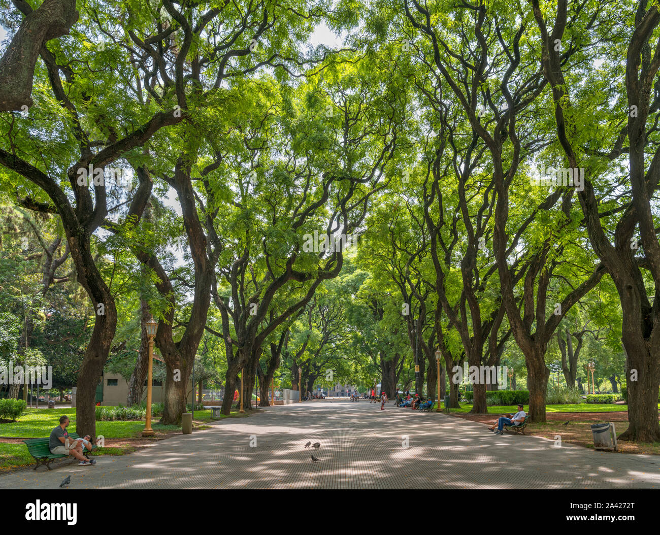 Park in Plaza San Martin, Retiro district, Buenos Aires, Argentina, South America Stock Photo