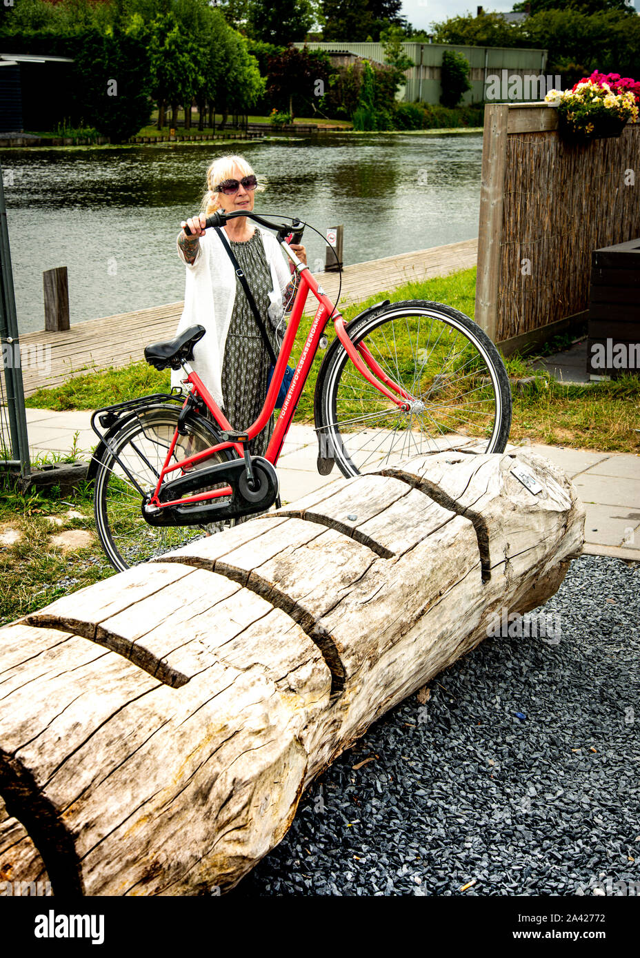 woman parking her hired bike in an unusual wooden tree bike stand,just off the canal bank cycle path. Stock Photo