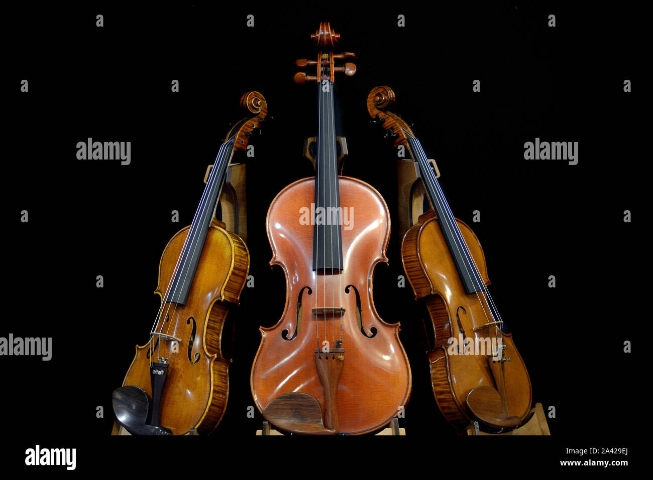 Italy, Lombardy, Cremona, Cremona Musica International Exhibitions and Festival 2019, Violins Standing Stock Photo