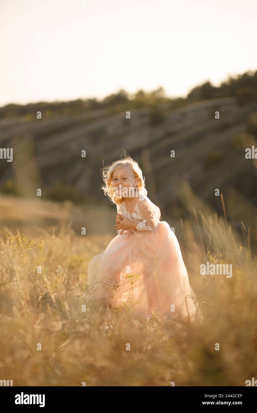 Portrait of a beautiful little princess girl in a pink dress. Posing in ...