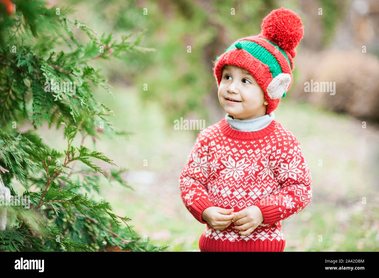 Little boy in sweater and hat waiting for a Christmas in the wood. Halflength portrait of a