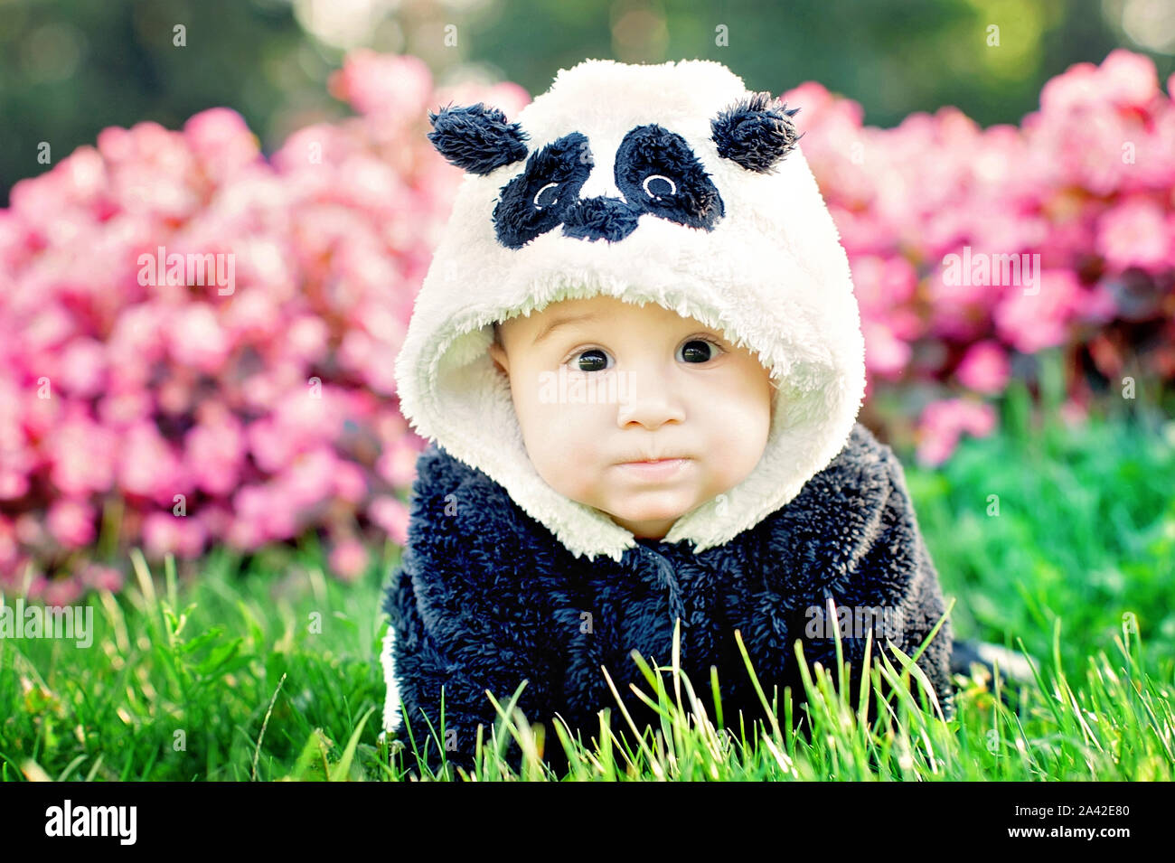 baby boy bear suit