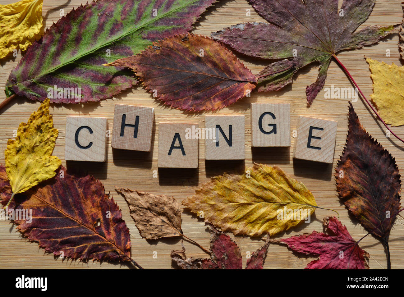 Change in 3d wooden alphabet letters surrounded by autumn leaves of different shapes and fall colours, on a bamboo board background Stock Photo