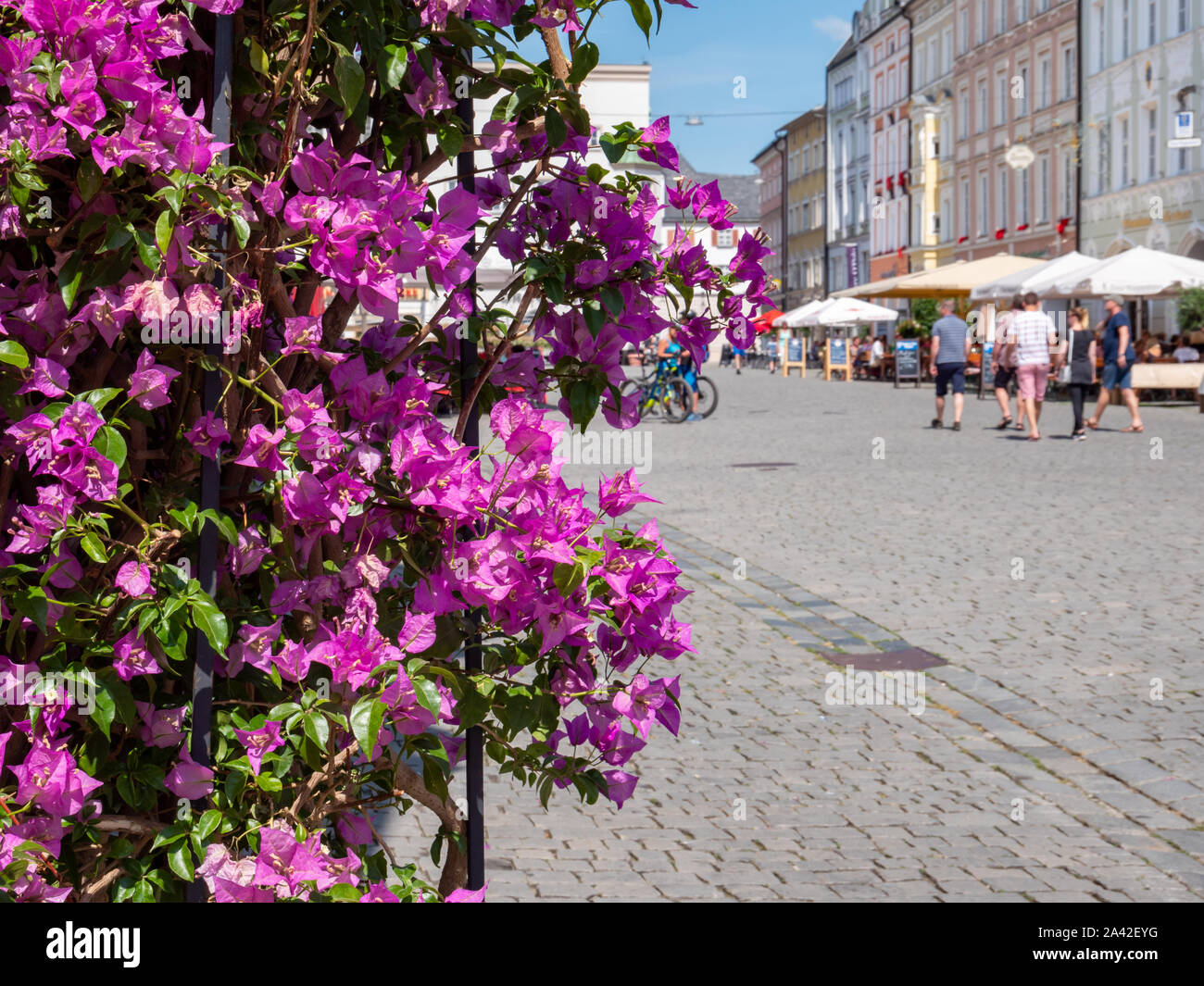 Max-Josefs-Platz in Rosenheim in spring Stock Photo - Alamy
