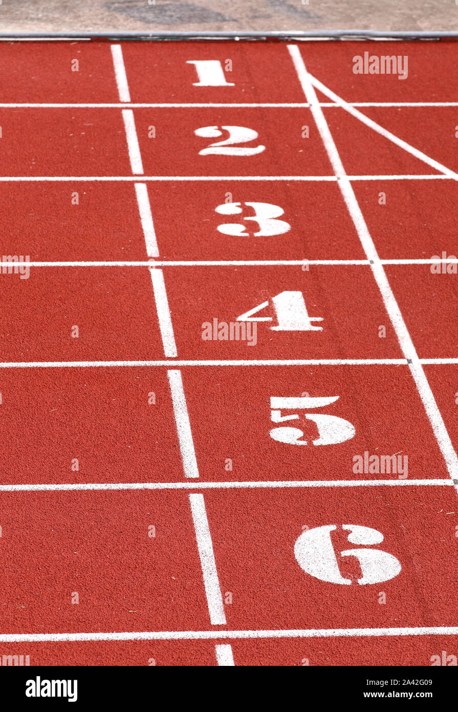 track lane at sports facility with numbers Stock Photo Alamy
