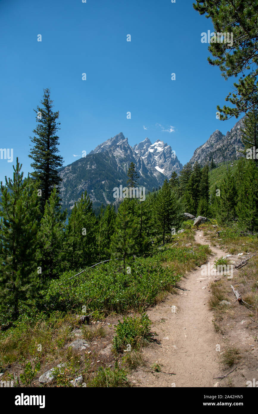 Hiking trail around Jenny Lake at the Grand Teton National Park Stock ...