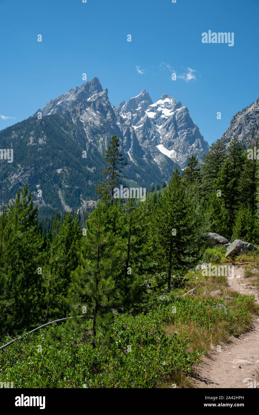 Hiking trail around Jenny Lake at the Grand Teton National Park Stock ...