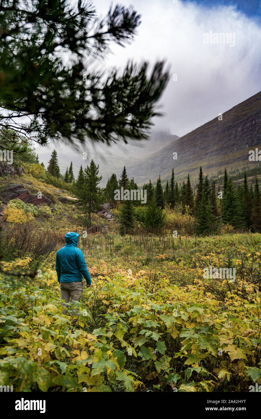 A person in a blue Jacket with an amazing landscape in the background with fall calors, Montana. Stock Photo