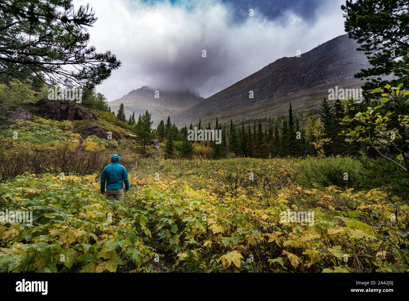 A person in a blue Jacket with an amazing landscape in the background with fall calors, Montana. Stock Photo