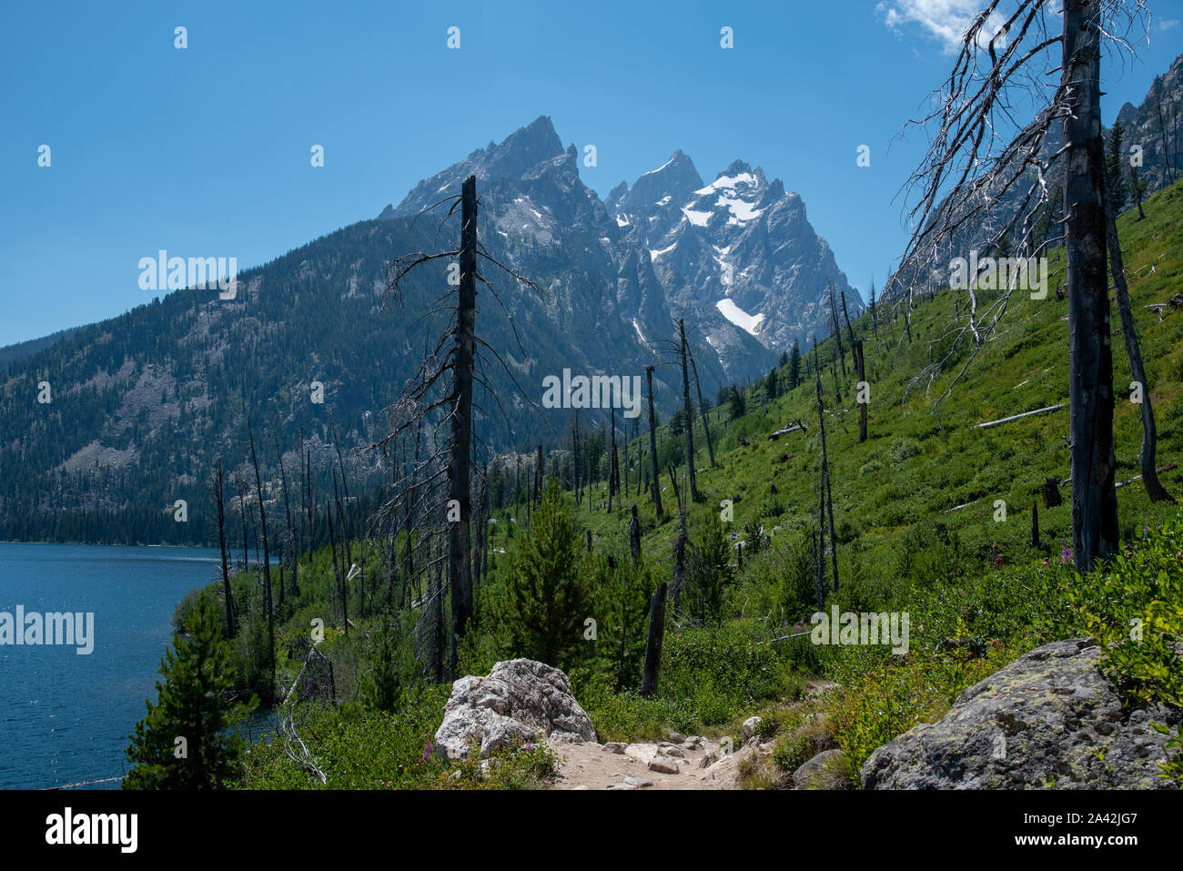 Hiking trail around Jenny Lake at the Grand Teton National Park Stock ...