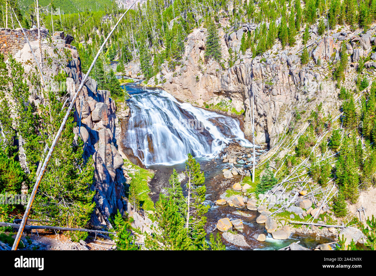 Gibbon Falls in Yellowstone National Park, Wyoming, USA Stock Photo