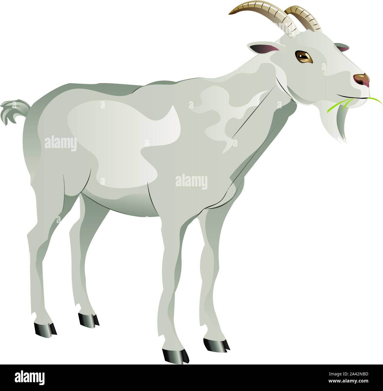 Cute white goat, cartoon animal on white background Stock Vector Image &  Art - Alamy