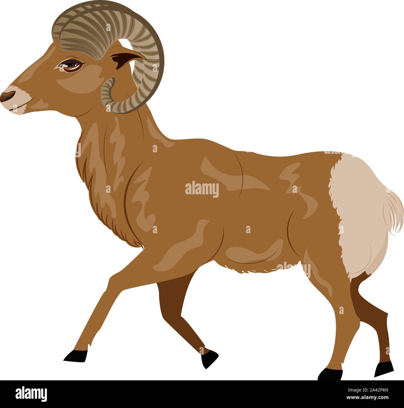Illustration of cartoon wild mountain ram, big horned sheep Stock