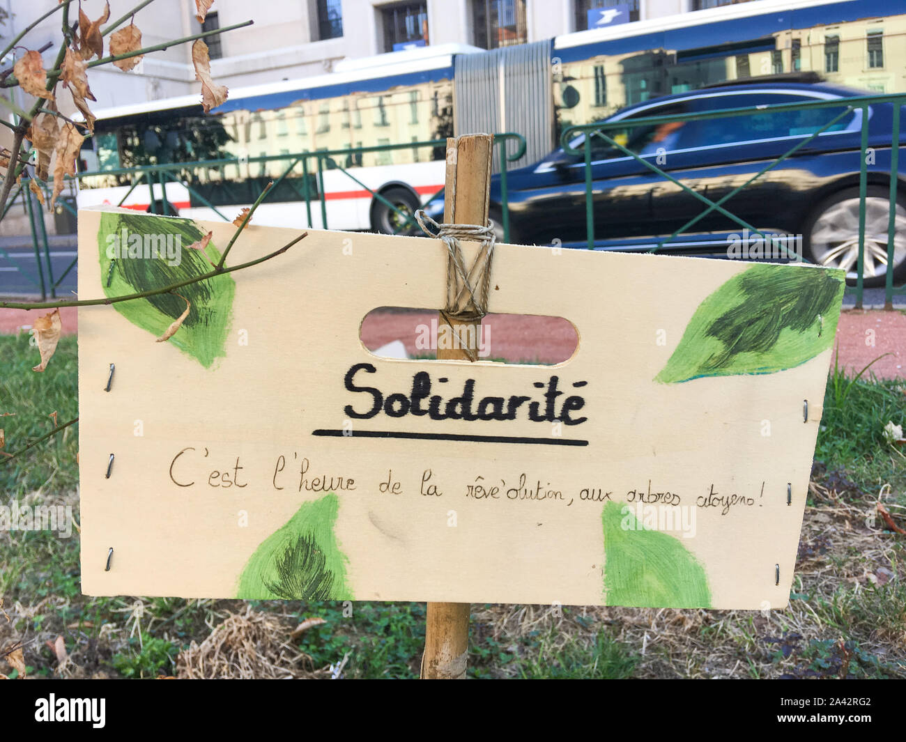 Ephemeral garden illegally planted in a green area, Lyon, France Stock Photo