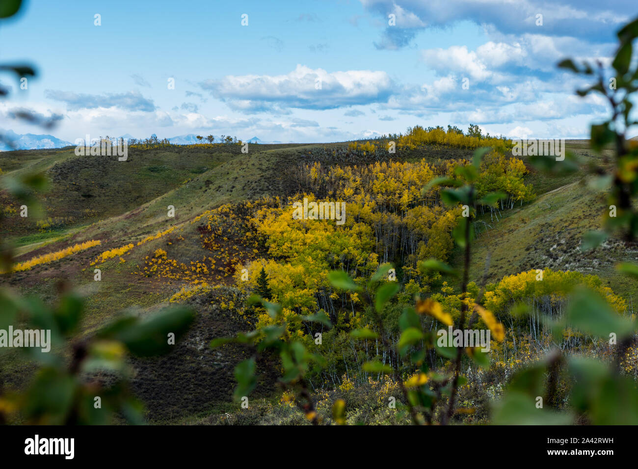 Wild west cowboy landscapes hi-res stock photography and images - Alamy
