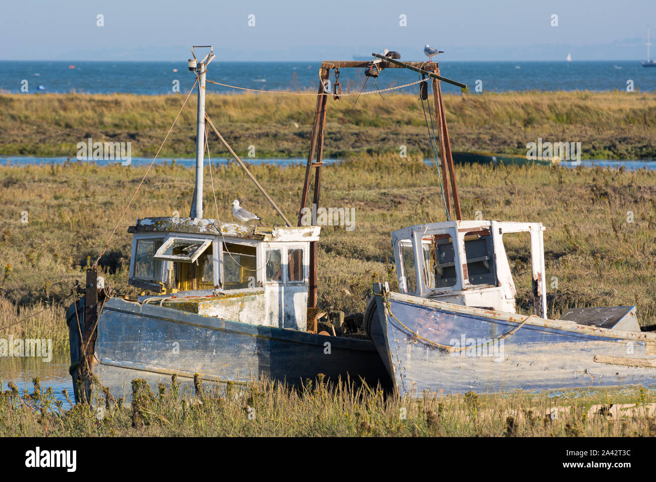 Abandoned boats lying among the creeks and mudflats of the Thames Estuary near Leigh-On-Sea Stock Photo