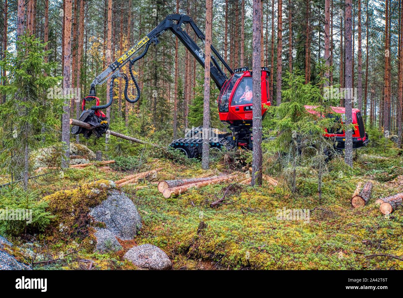 Giant Komatsu wood harvester working in the forest, central Finland Stock Photo