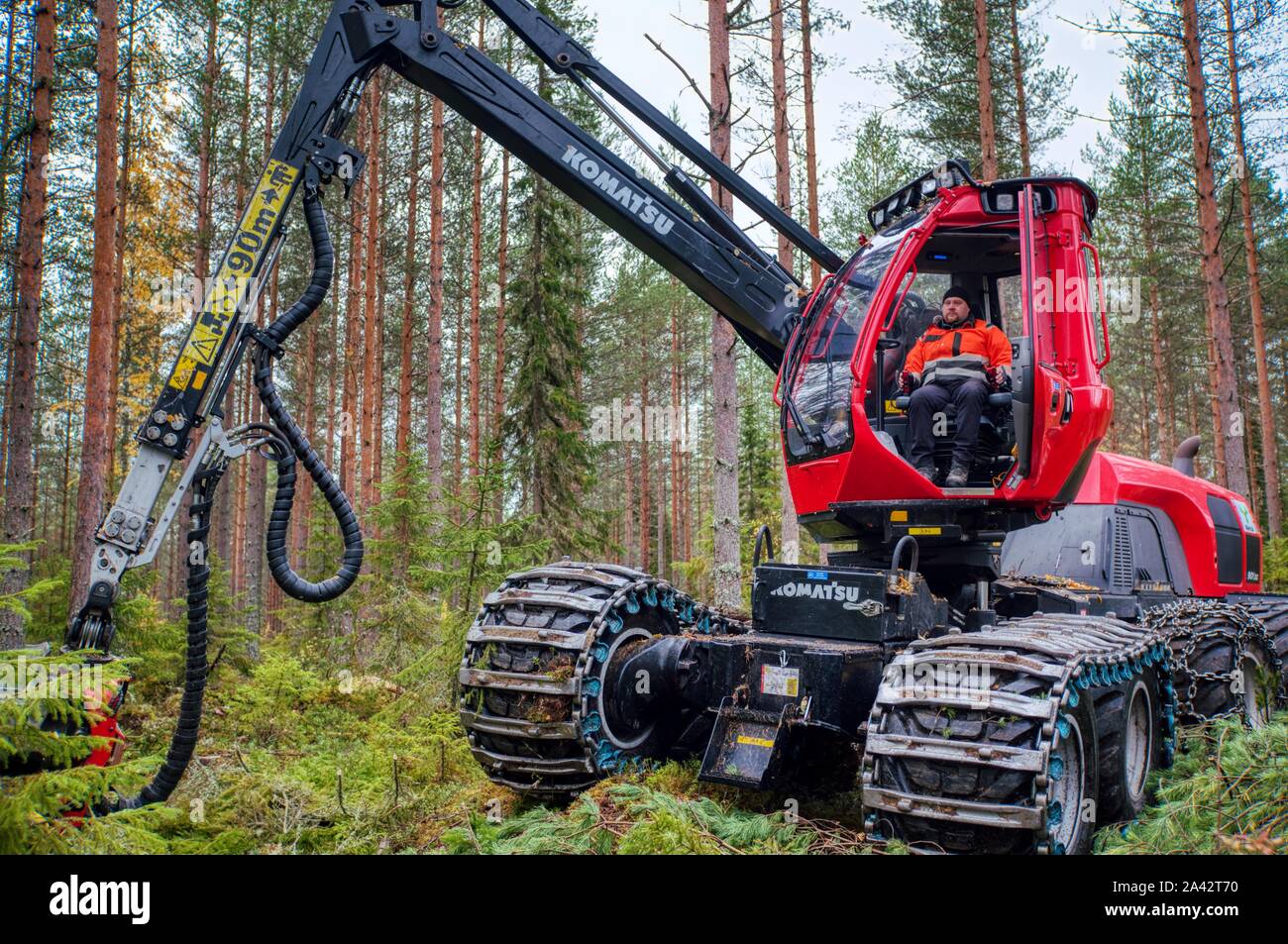 Giant Komatsu wood harvester working in the forest, central Finland Stock Photo