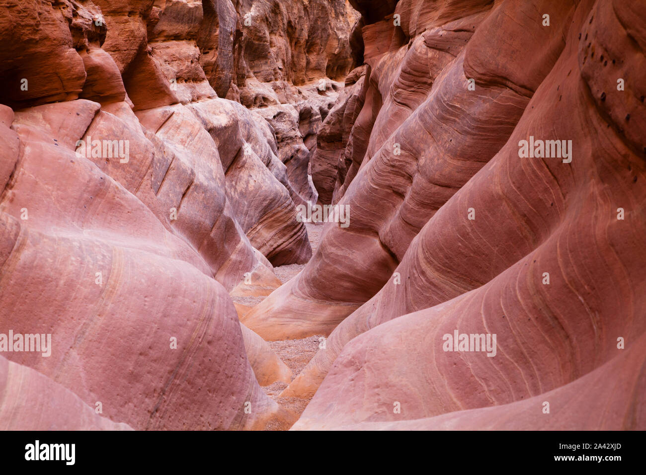 Slot canyon, Little Wild Horse, San Rafael Swell, UT. Stock Photo