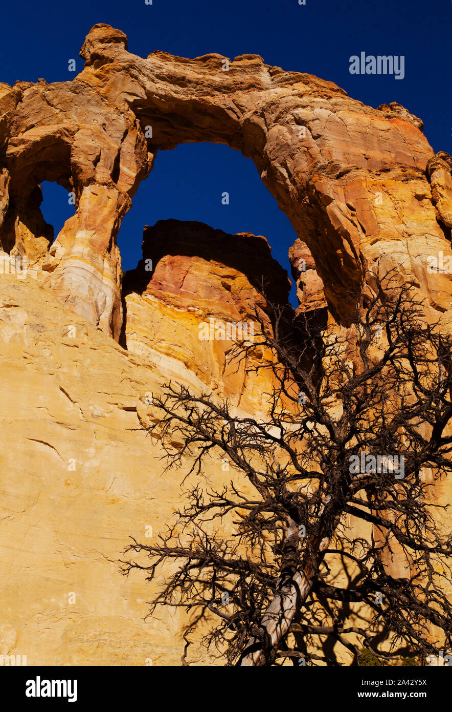 Grosvenor Arch on Cottonwood Canyon Road, Grand Staircase Escalante National Monument, Utah. Stock Photo